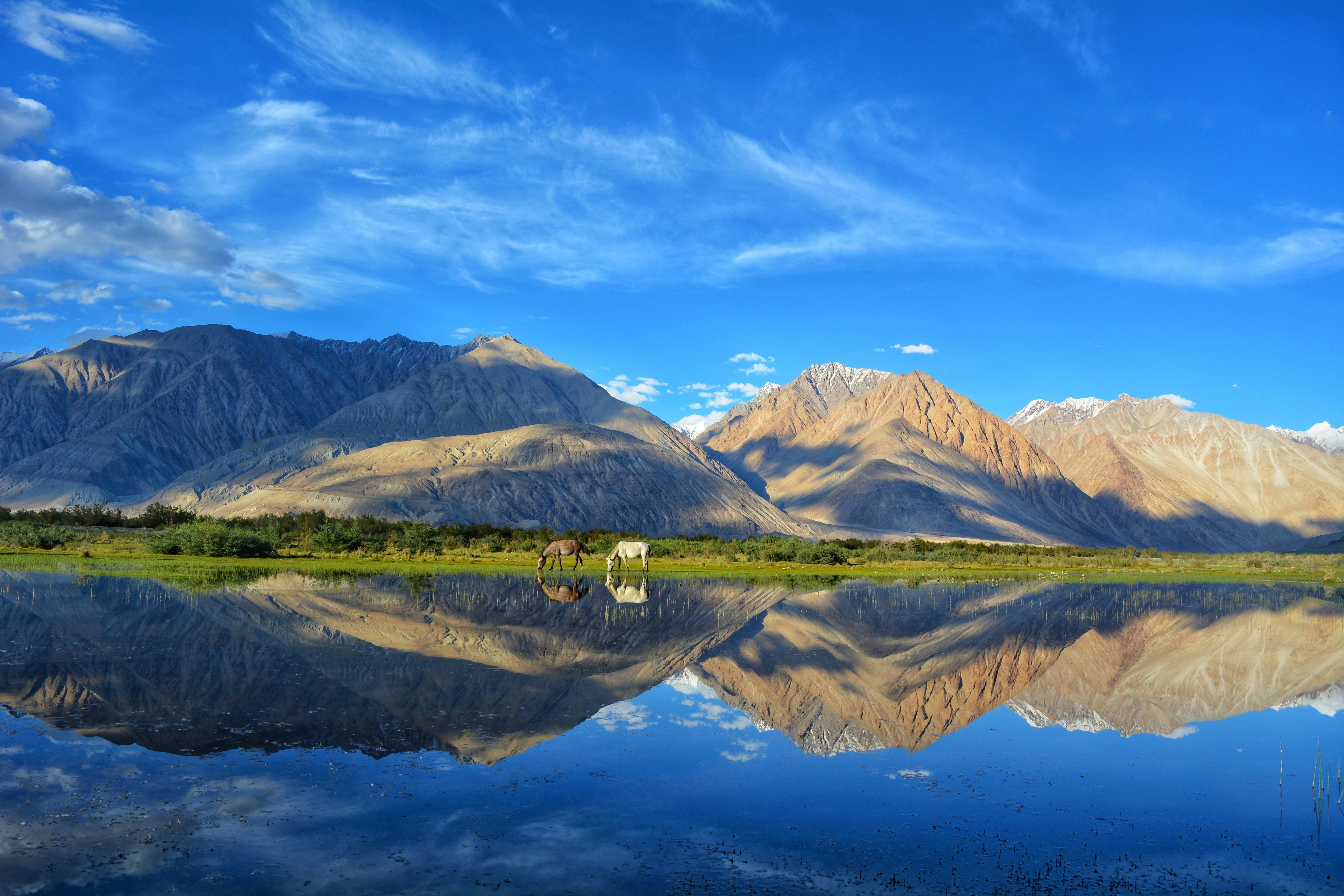 8 Days tour travel package itinerary to Leh Ladakh